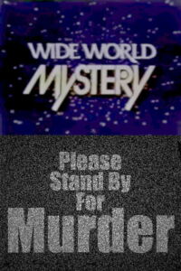 Please Stand by for Murder Filmplakat