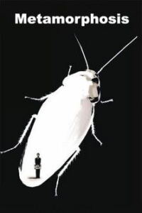 Die Verwandlung Filmplakat